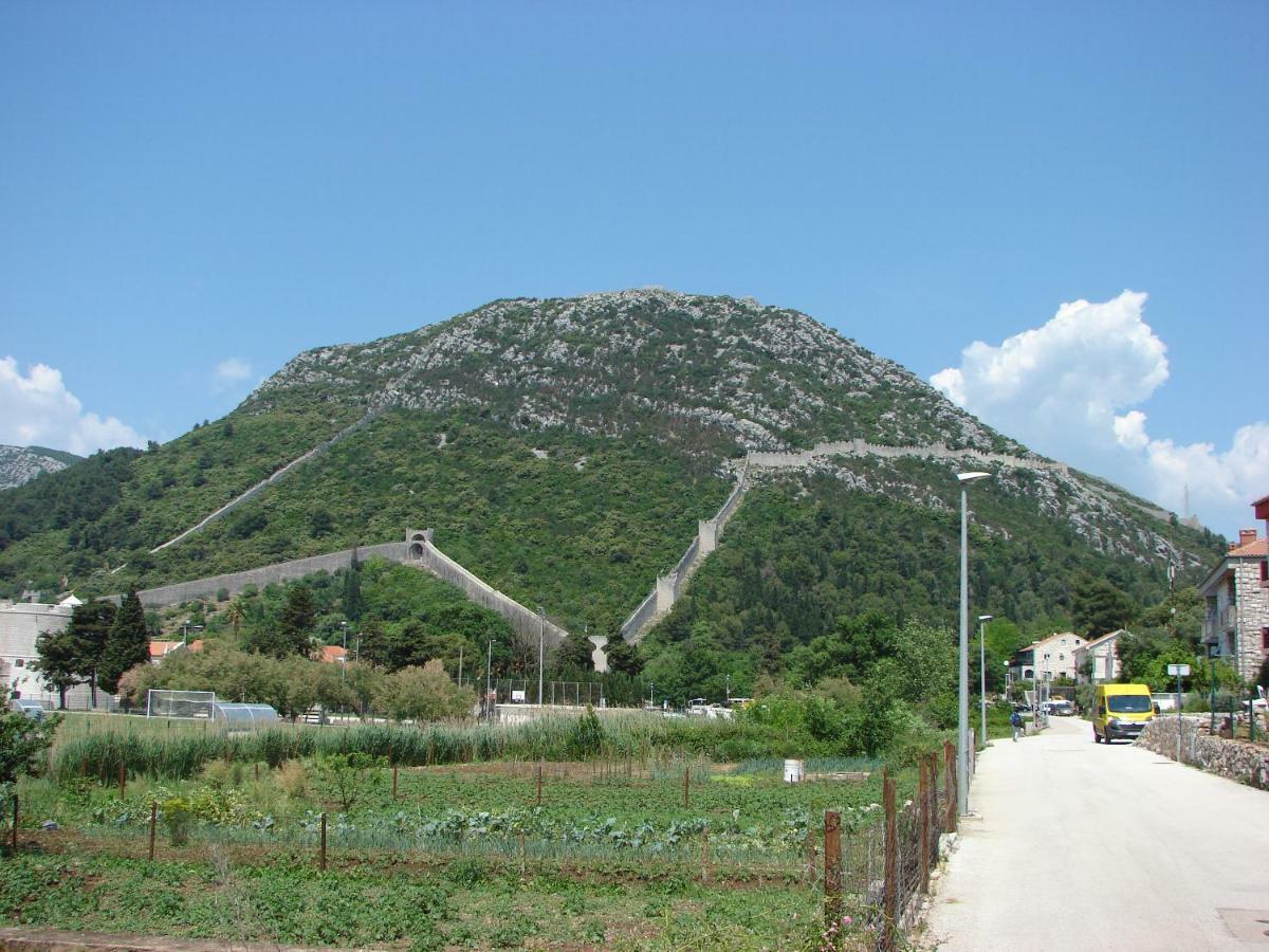 Putniković Iva Lavanda 빌라 외부 사진